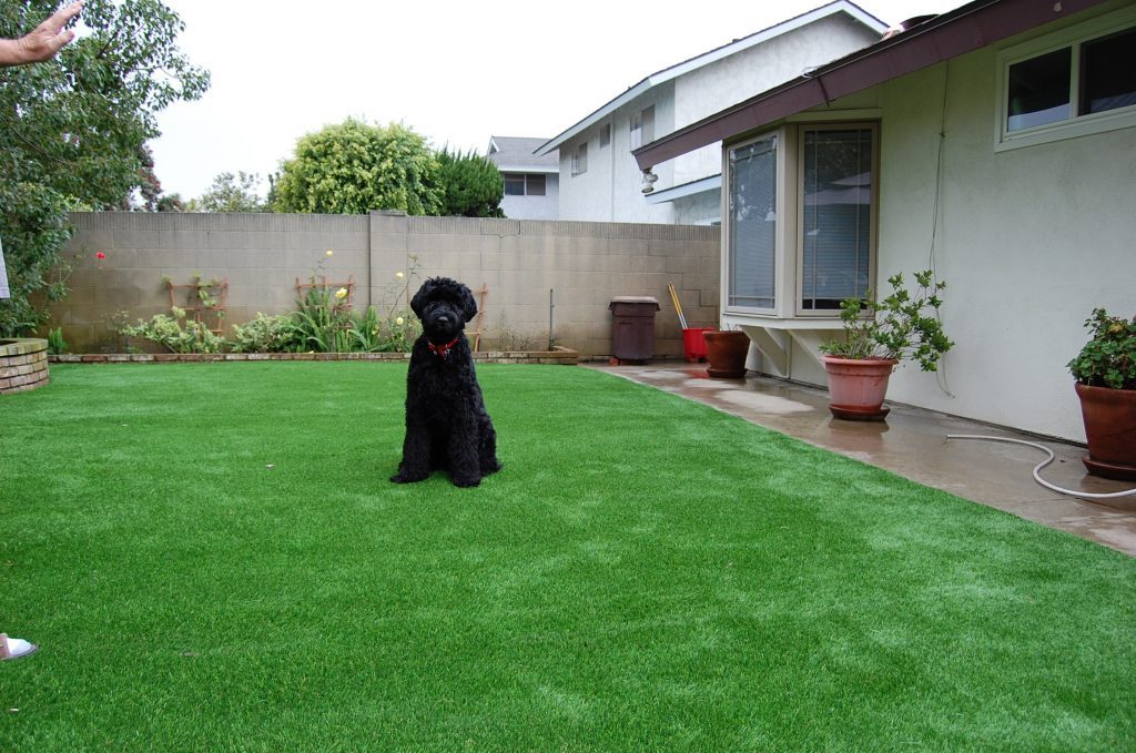 Synthetic Lawn Pet Turf Lakeside, Top Rated Artificial Grass Installation for Dogs