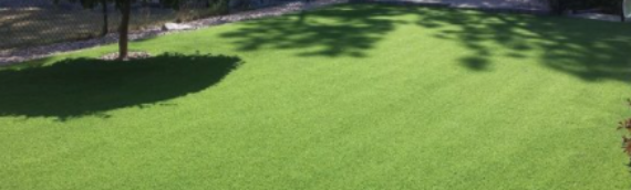 ▷Reasons To Choose Artificial Grass In Lakeside