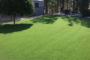 Reasons To Choose Artificial Grass In Lakeside