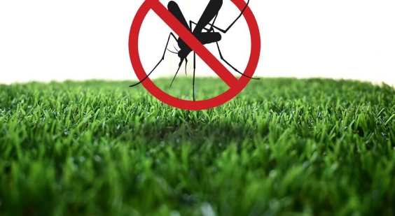 How Artificial Grass Helps With Mosquitoes In Lakeside?